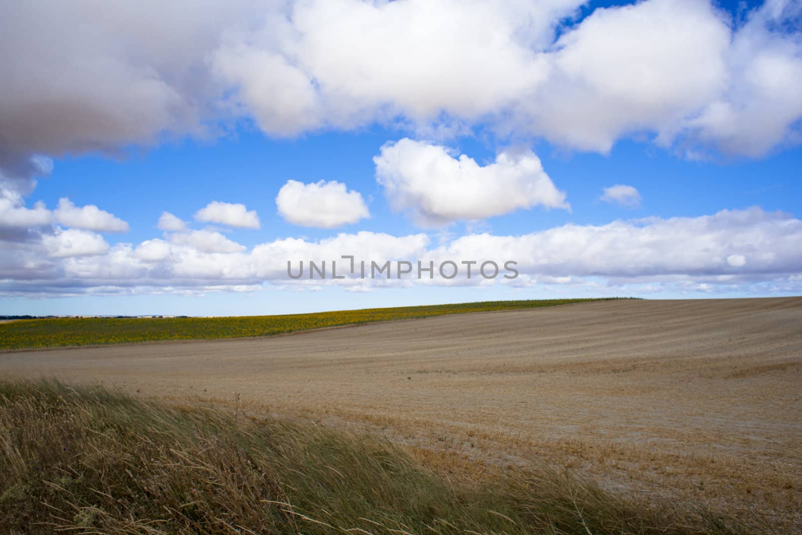 Spanish countryside, Way of St. James