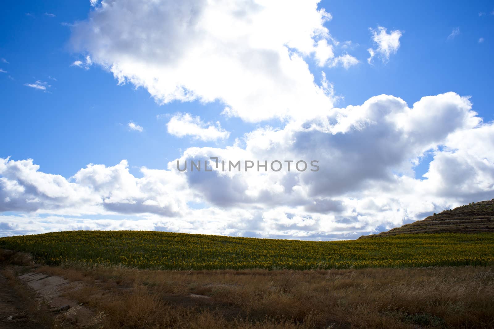 Spanish countryside, Way of St. James
