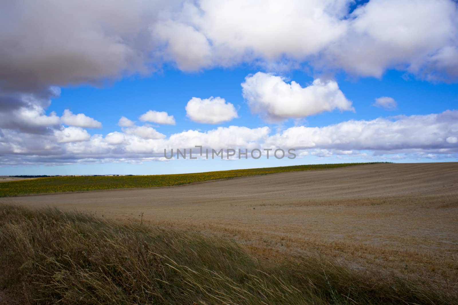 Spanish countryside, Way of St. James