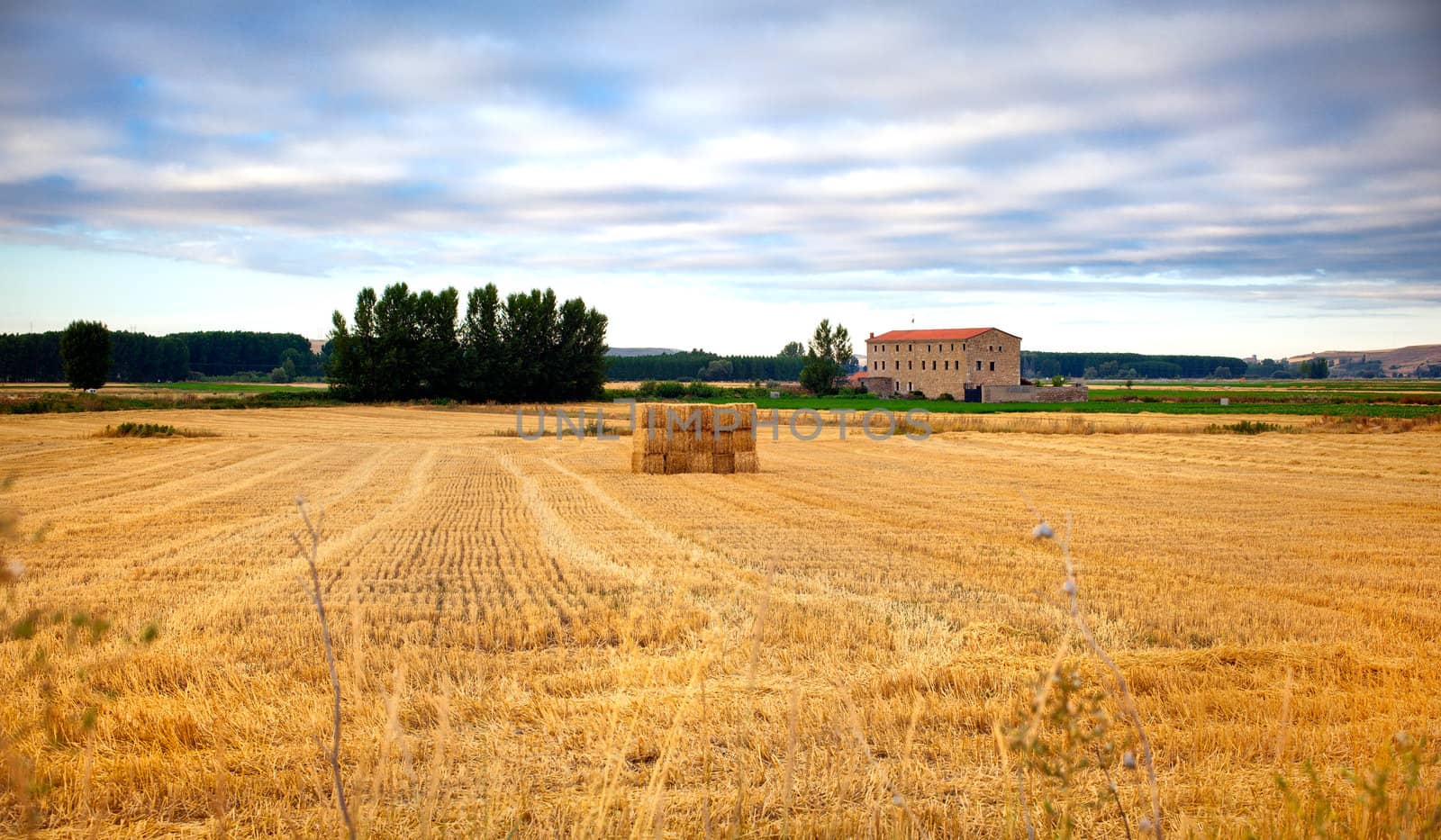 Bales of hay in spanish countryside