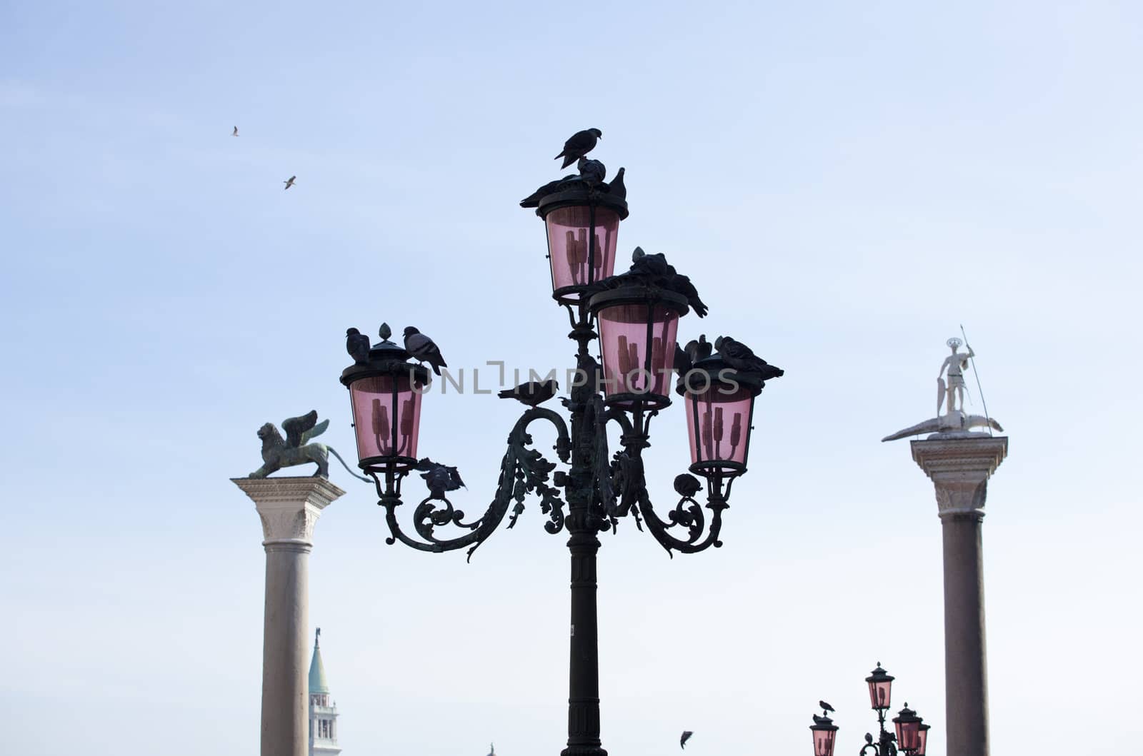 Photo of Lion and St. Theodore on columns, Venice