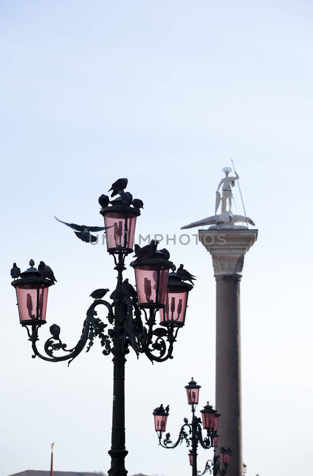Photo of St. Theodore on column, Venice