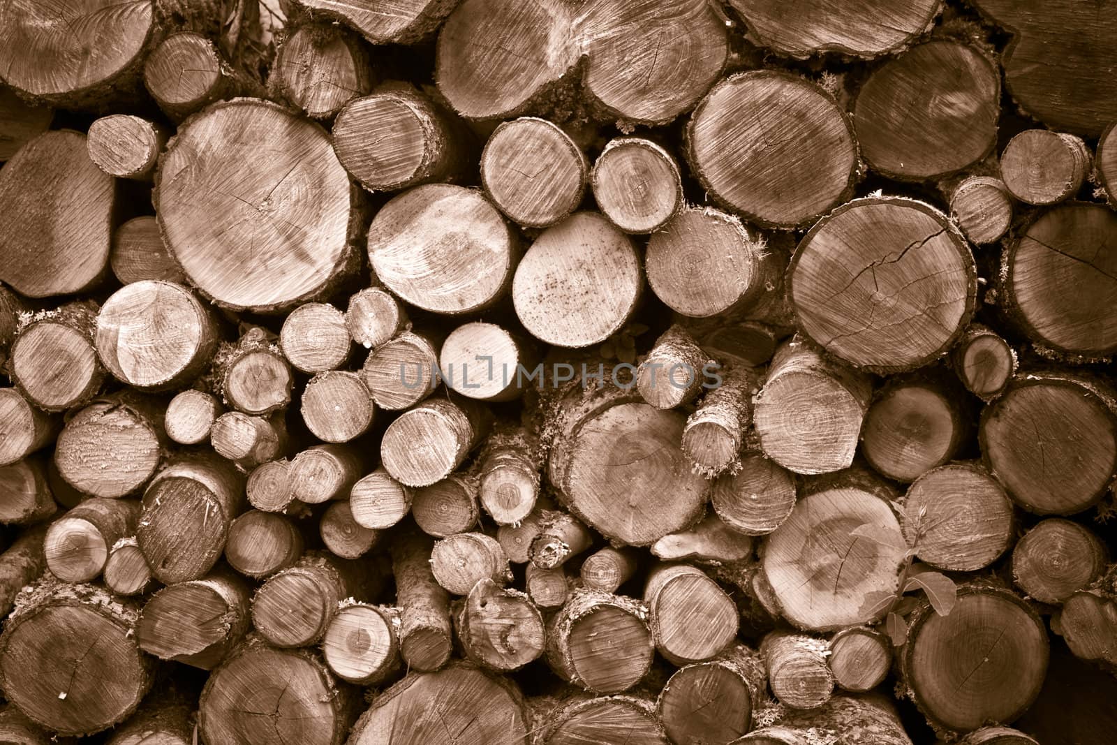 wood background by chrisroll