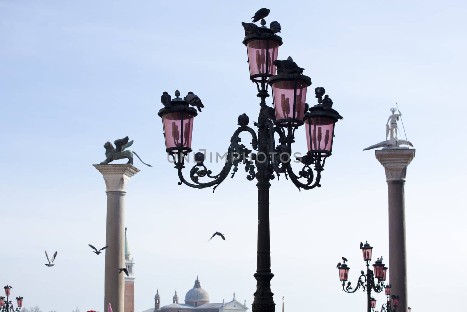 Photo of St. Theodore on column, Venice