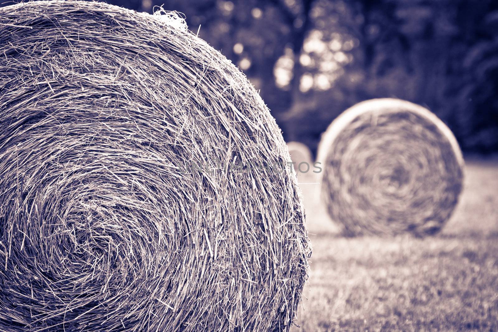 Vintage picture of bales by chrisroll