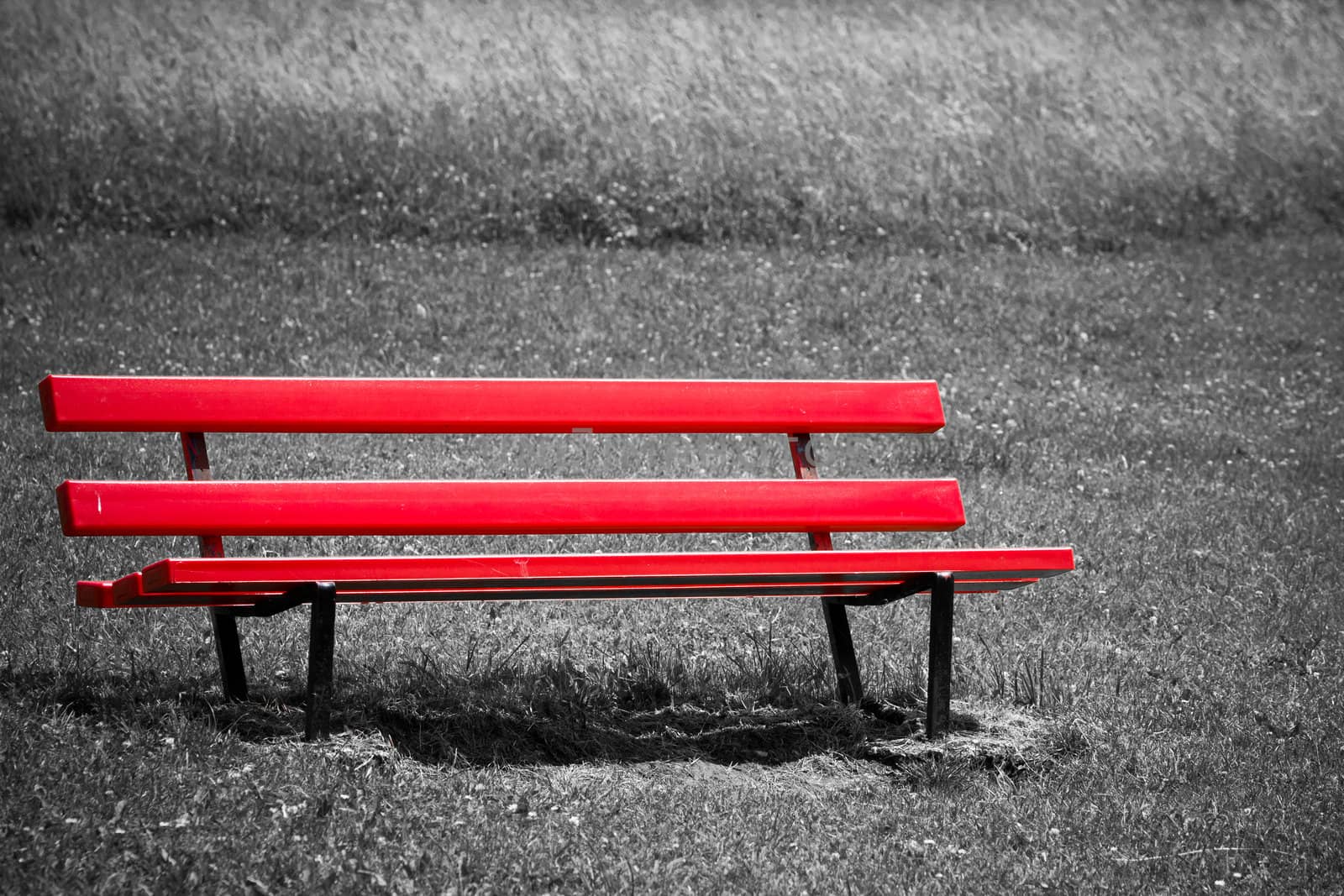 Empty red bench in park