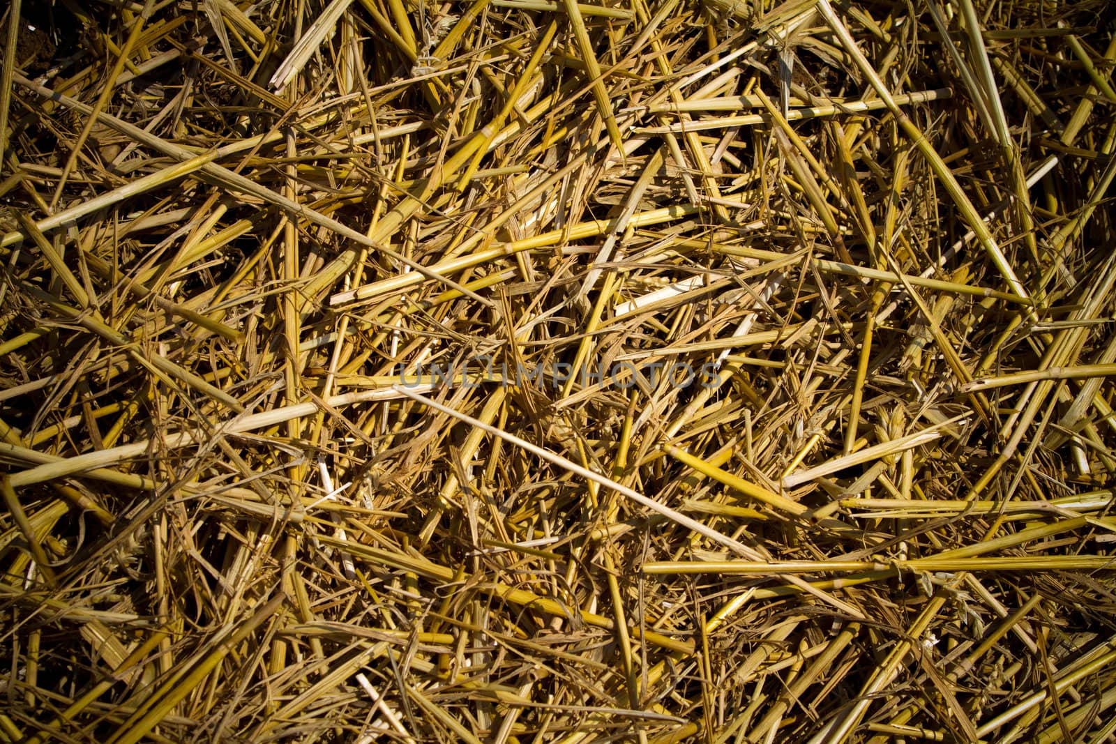 straw texture close up