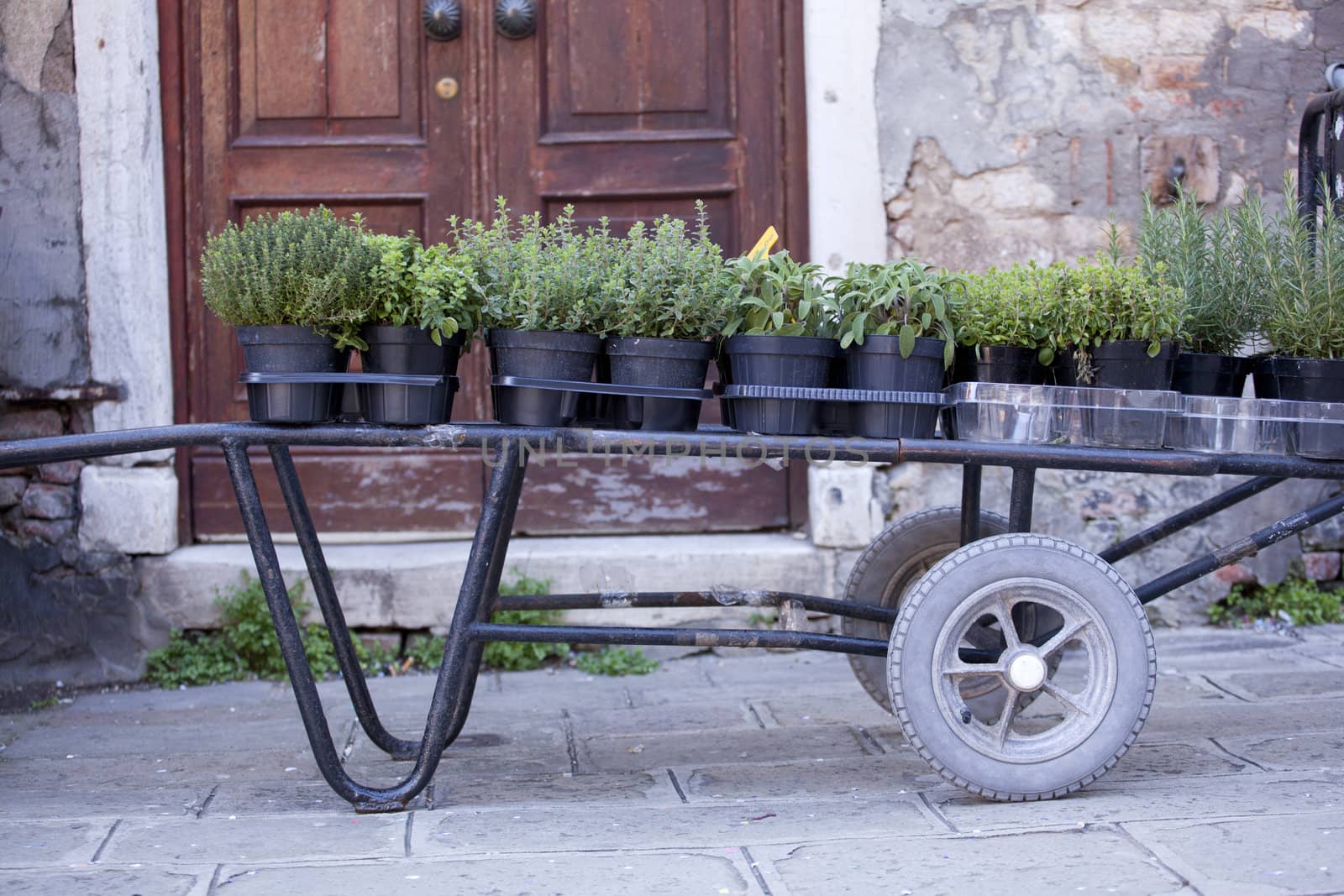 Photo of a Cart with herbs