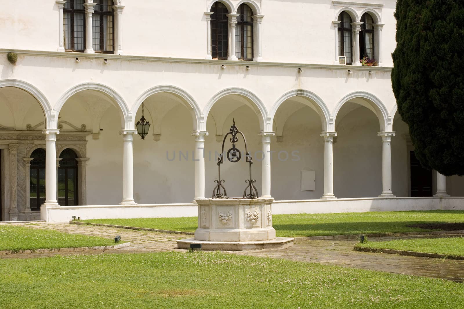 View of a Typical Venice yard