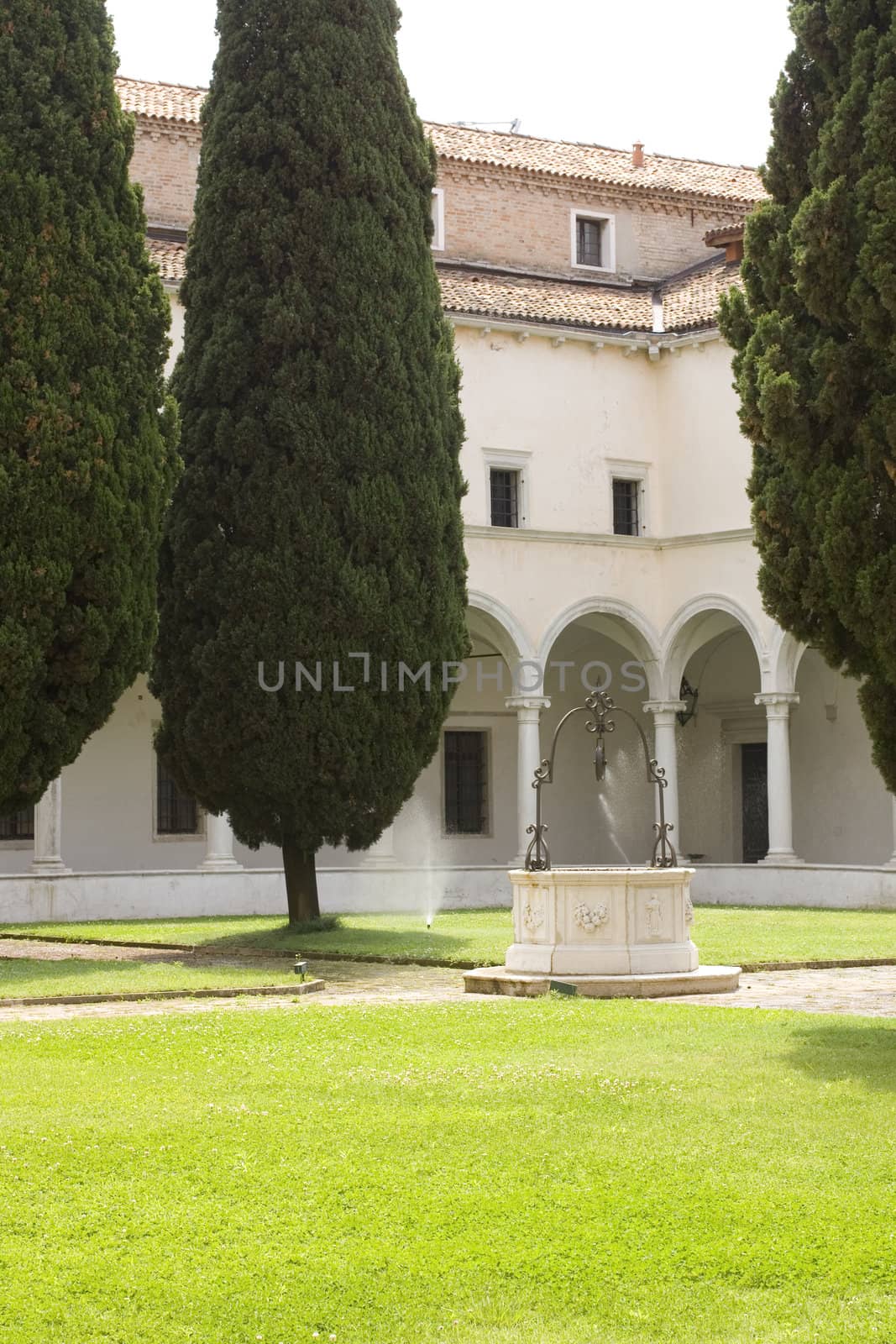 View of a Typical Venice yard