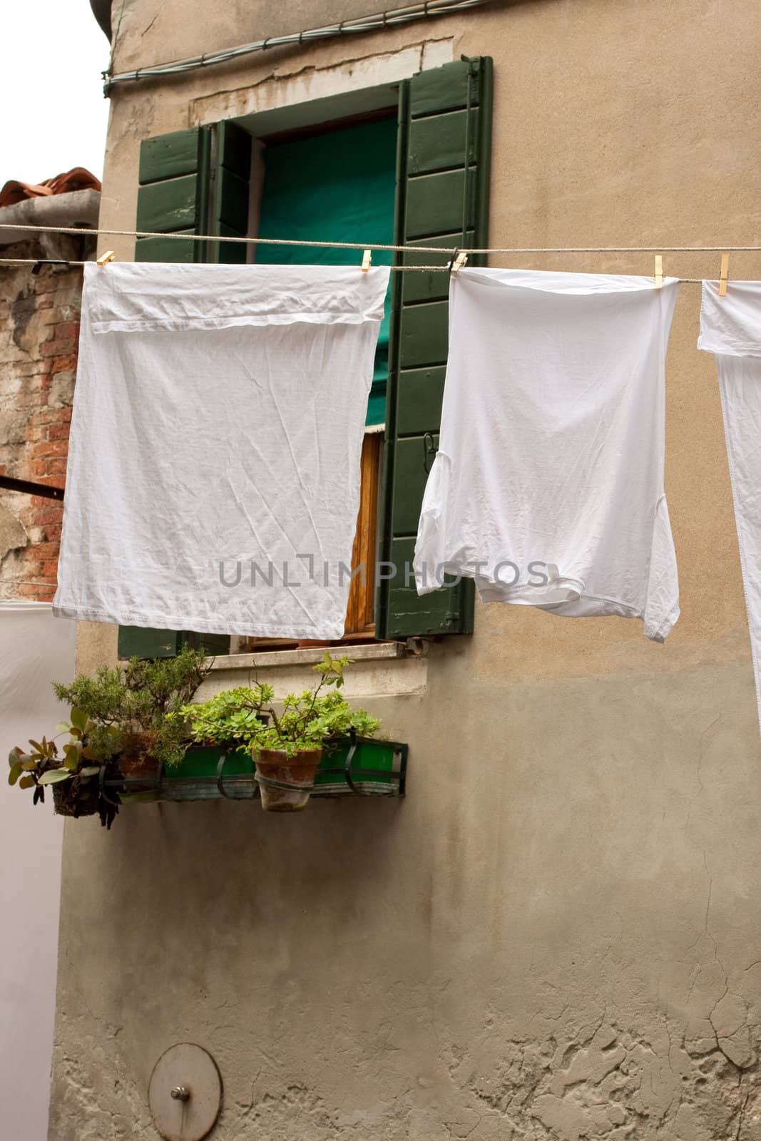 White laundry hanging to dry on a clothes-line