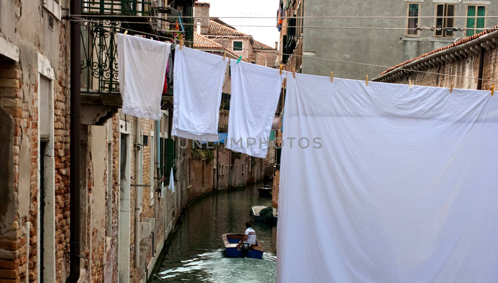 White laundry hanging to dry on a clothes-line