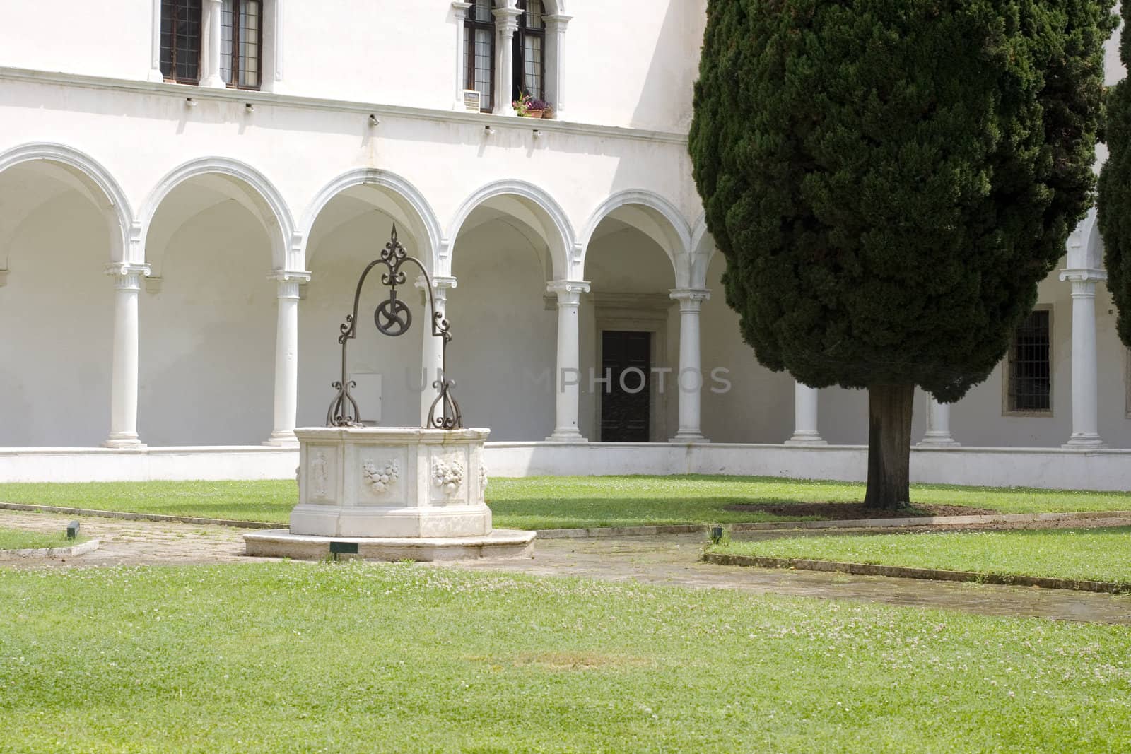 View of a Typical Venice yard