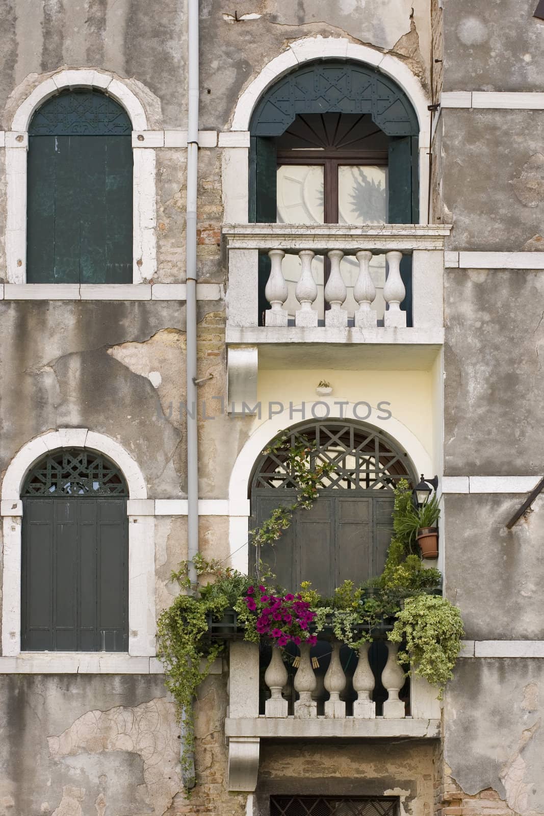 View of typical Venice windows