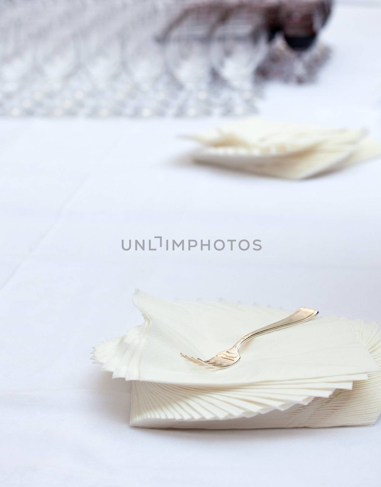 Napkins and fork on a table set