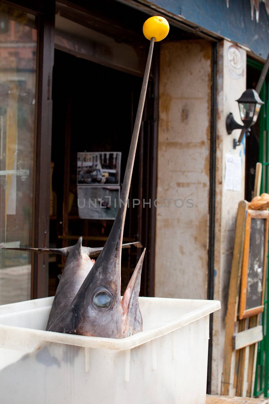 Swordfish inside a trasparent plastic box on a restaurant table