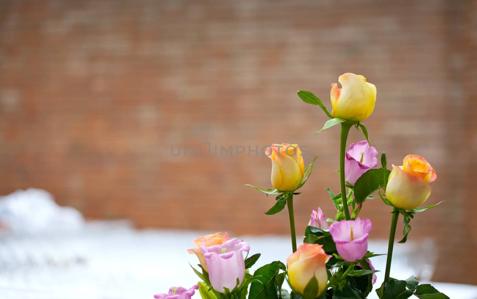 Bouquet of assorted multicolored roses