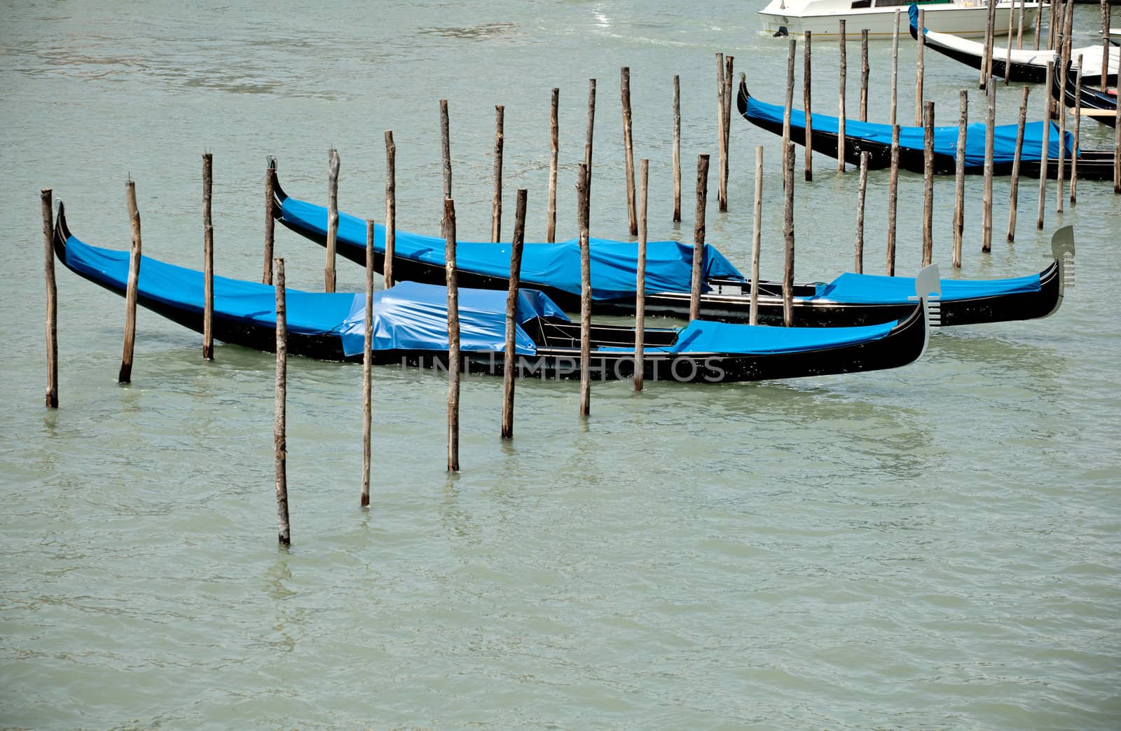 Gondolas parking in the traditional Venetian rowing boat