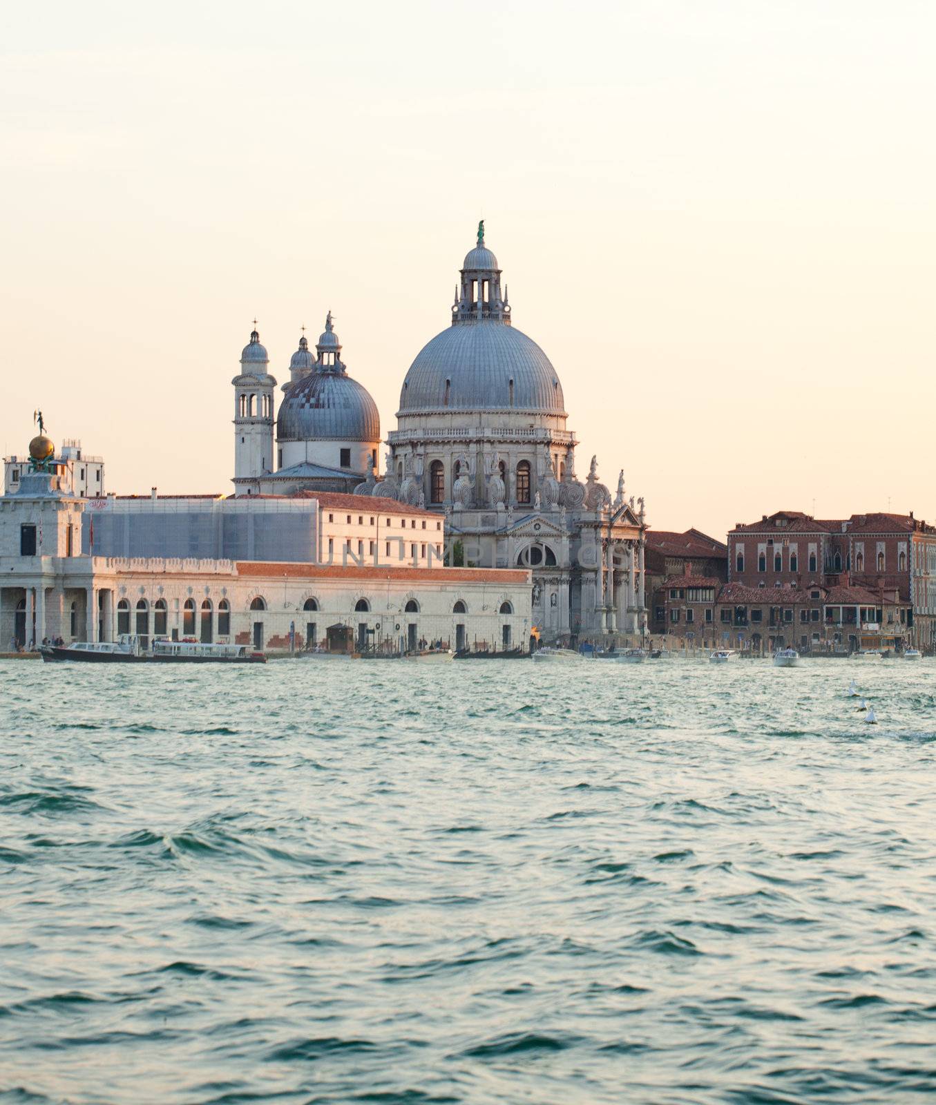 The Basilica of St. Mary of Health in Venice