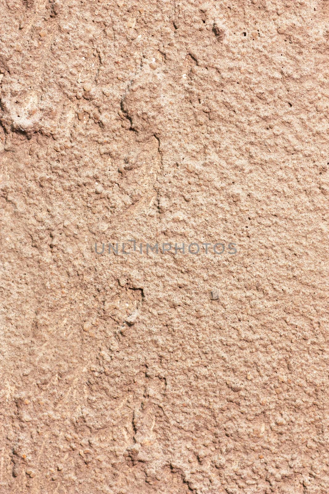 Macro view of cement wall. Rough texture