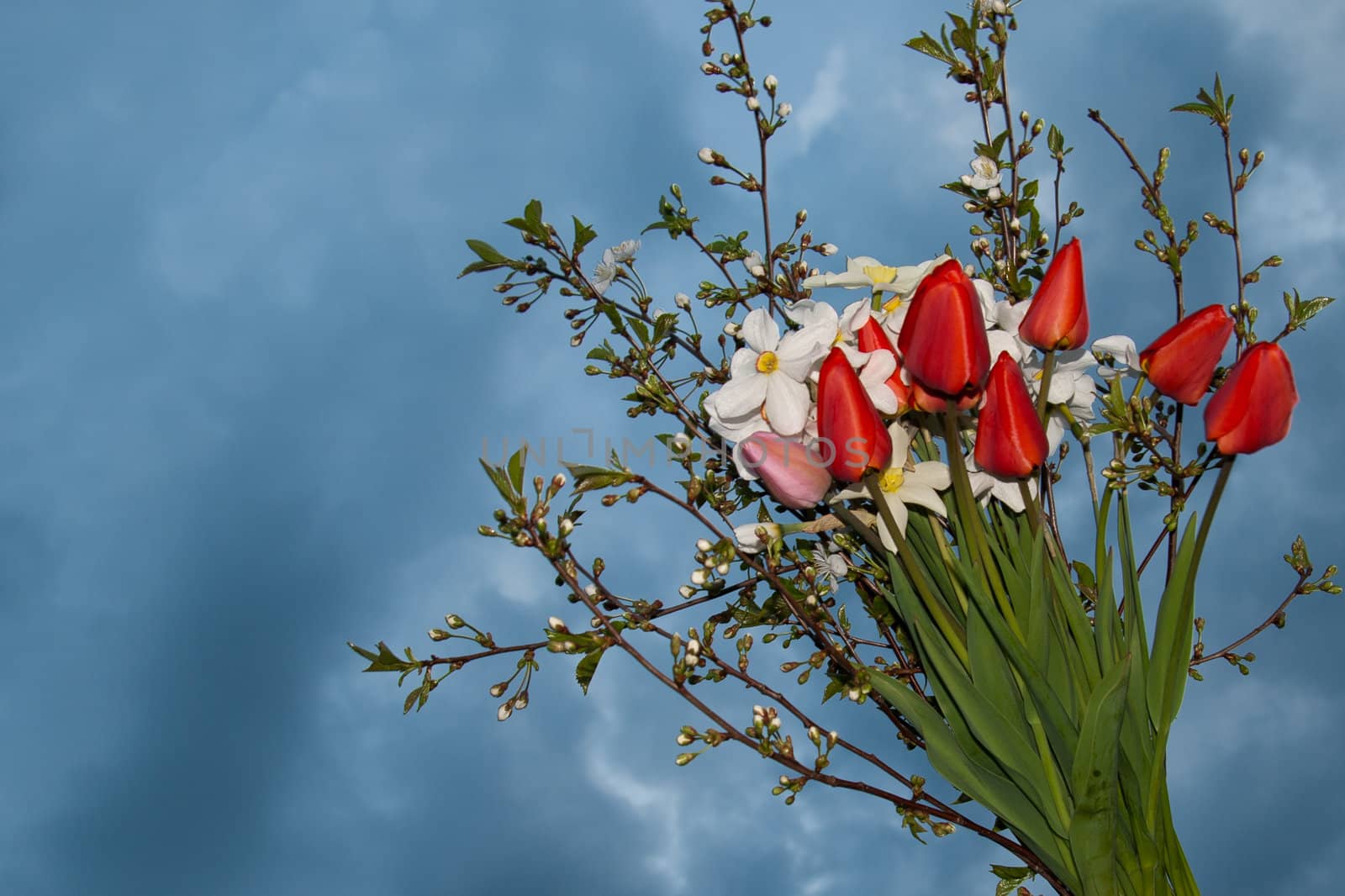 Spring flower bouquet on the evening dark skies