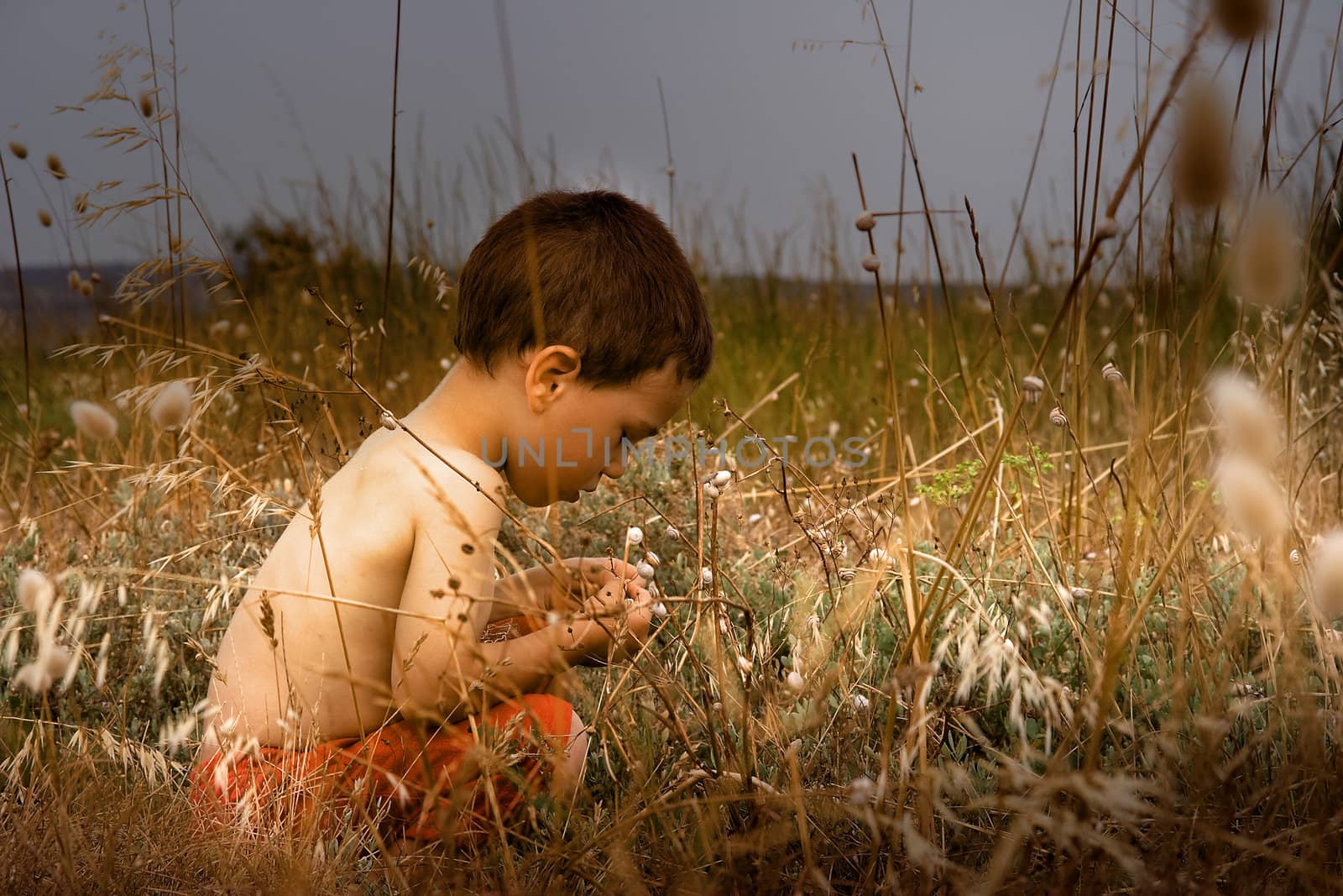 A young child in nature