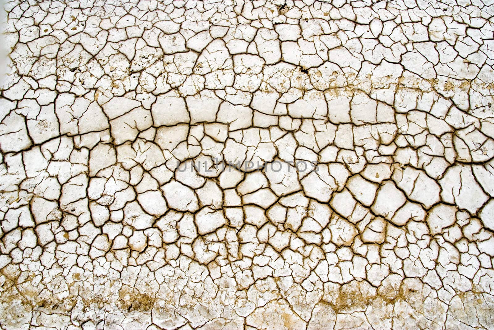 A dry deshydrate cracked terrain