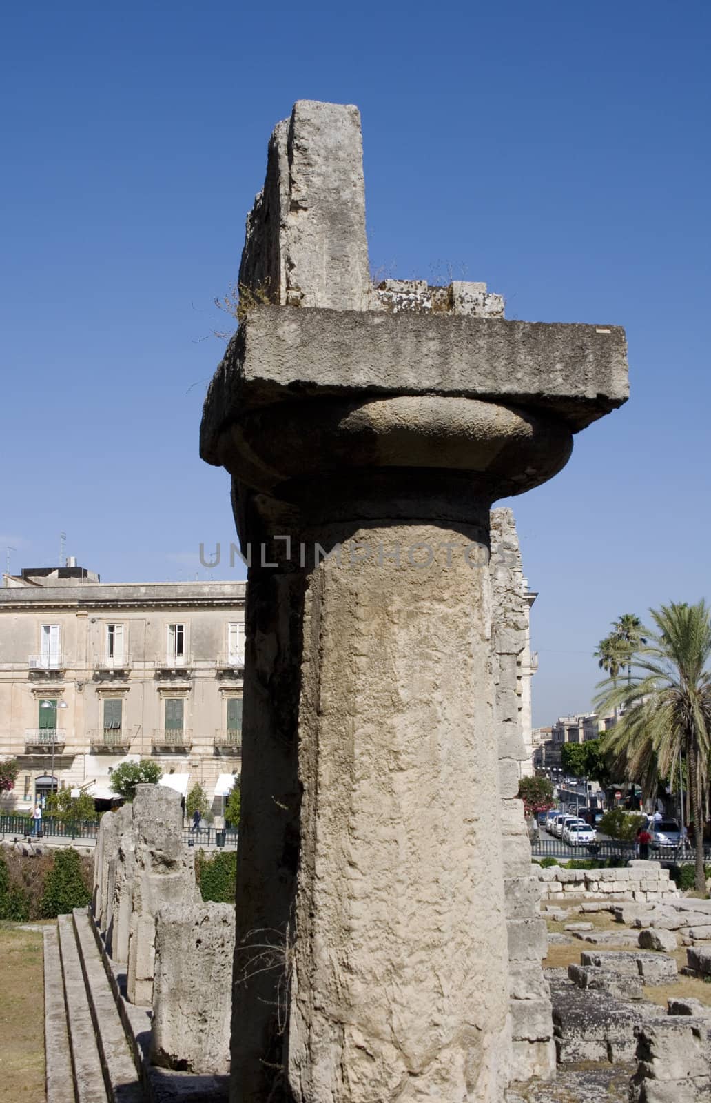 Column of Apollo temple, Syracuse - Sicily