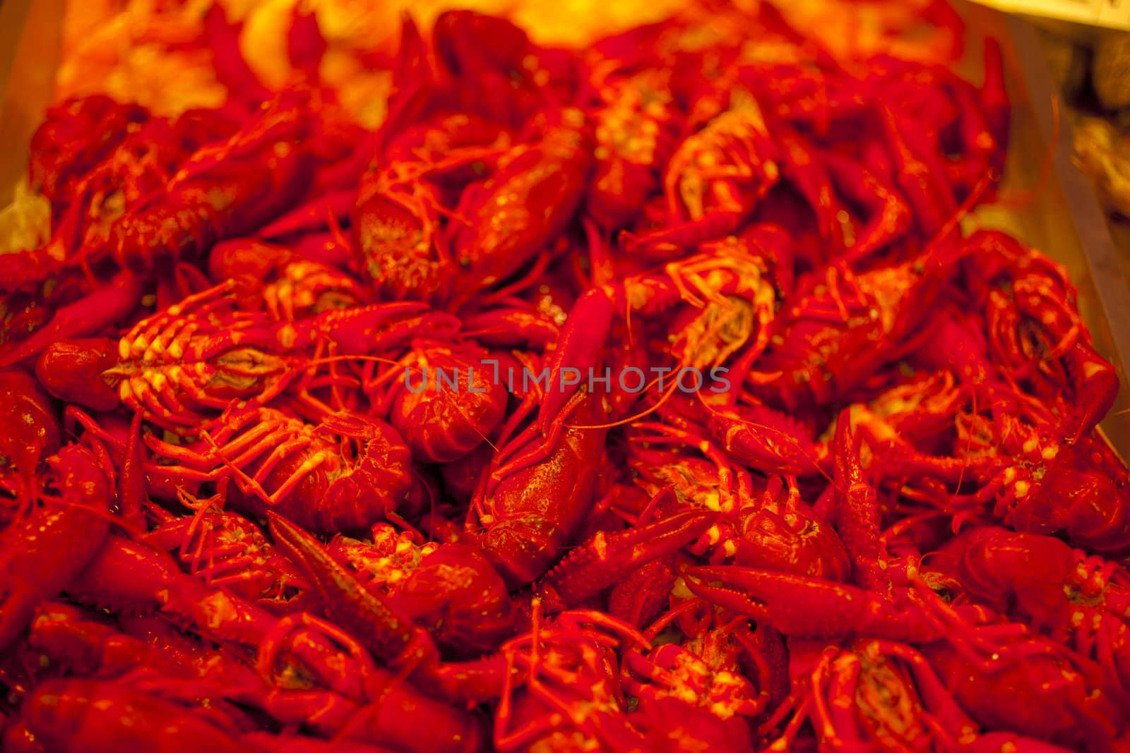 A lot of fresh shrimps