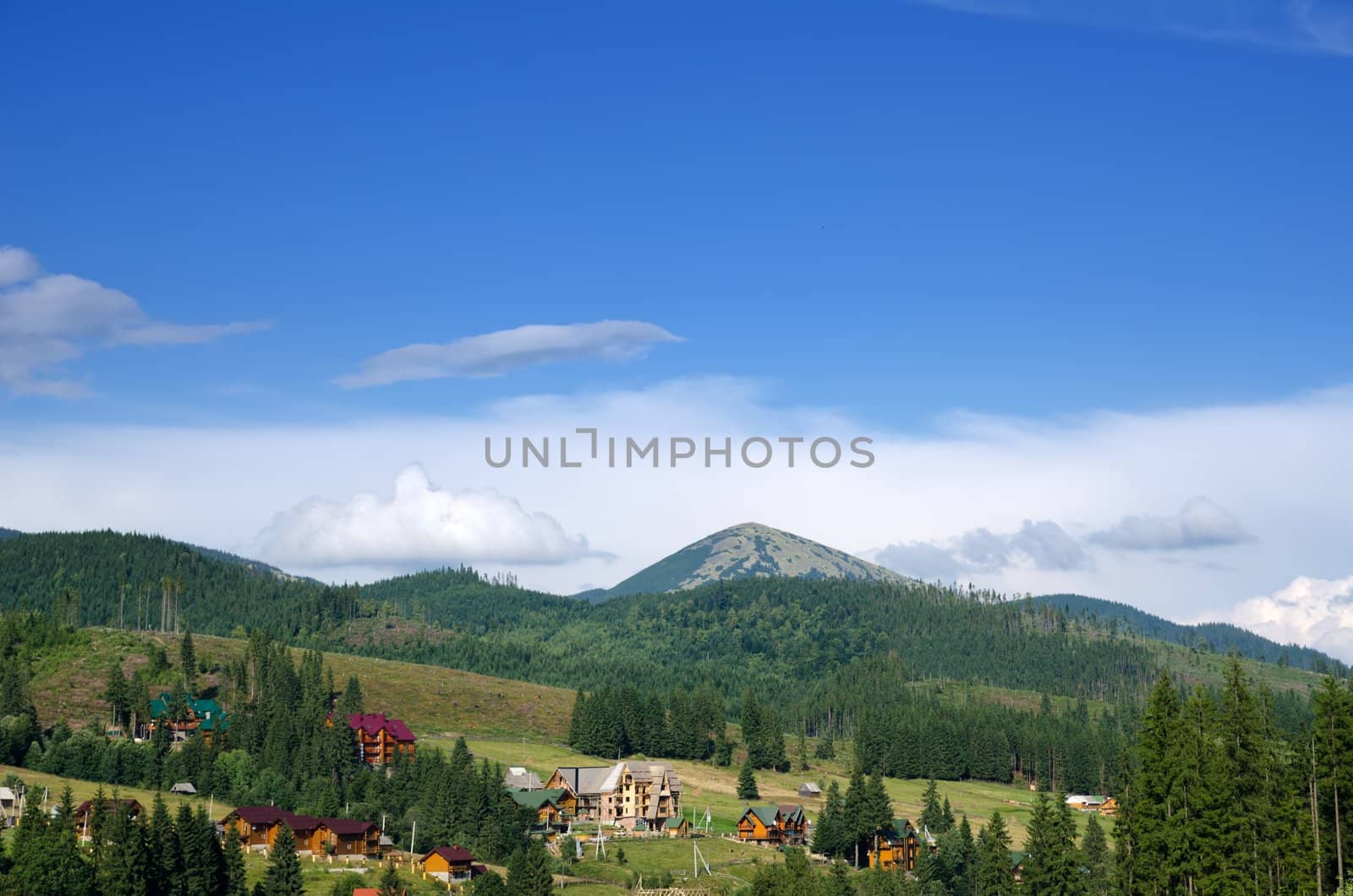 Beautiful green mountain landscape with trees in Carpathians