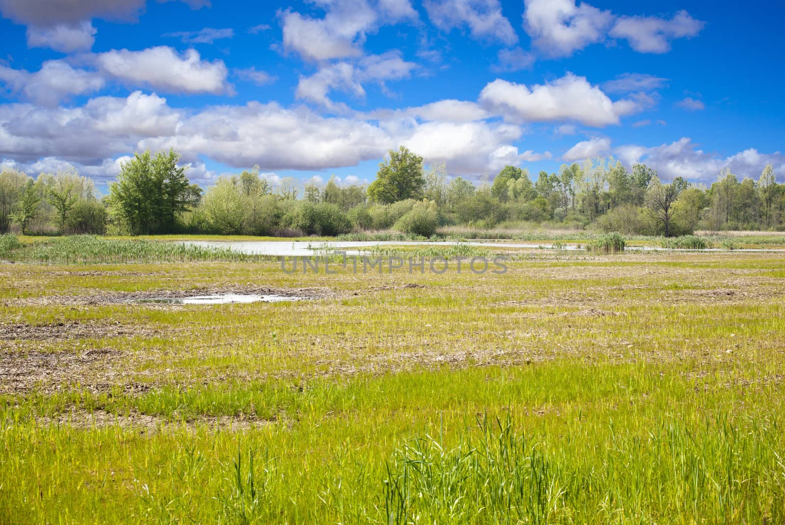 View of Biotope, resurgences of Flambro