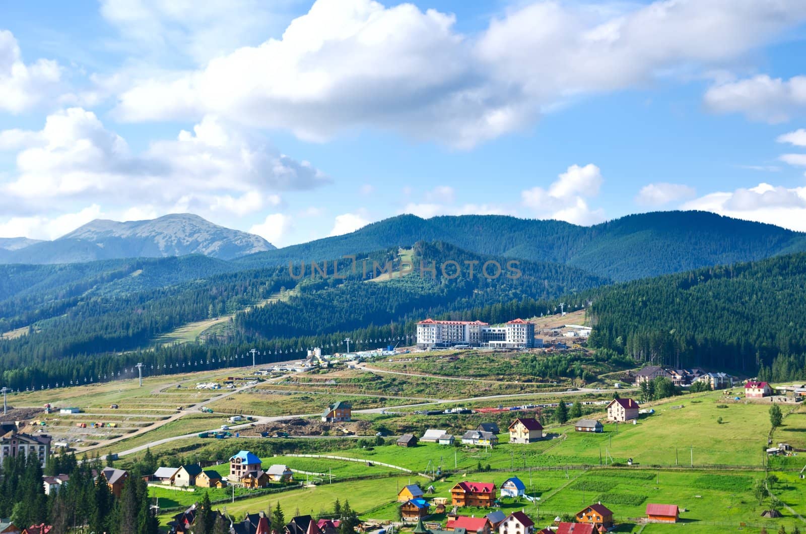 Beautiful green mountain landscape with trees in Carpathians