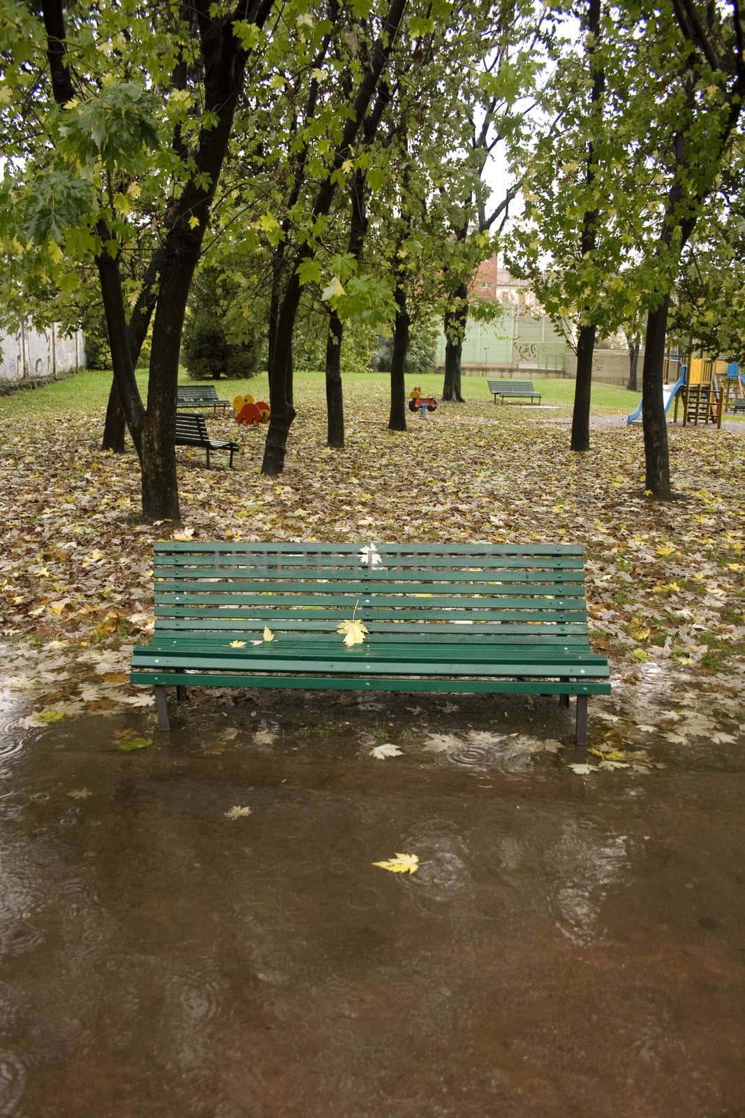 Bench in autumn under rain