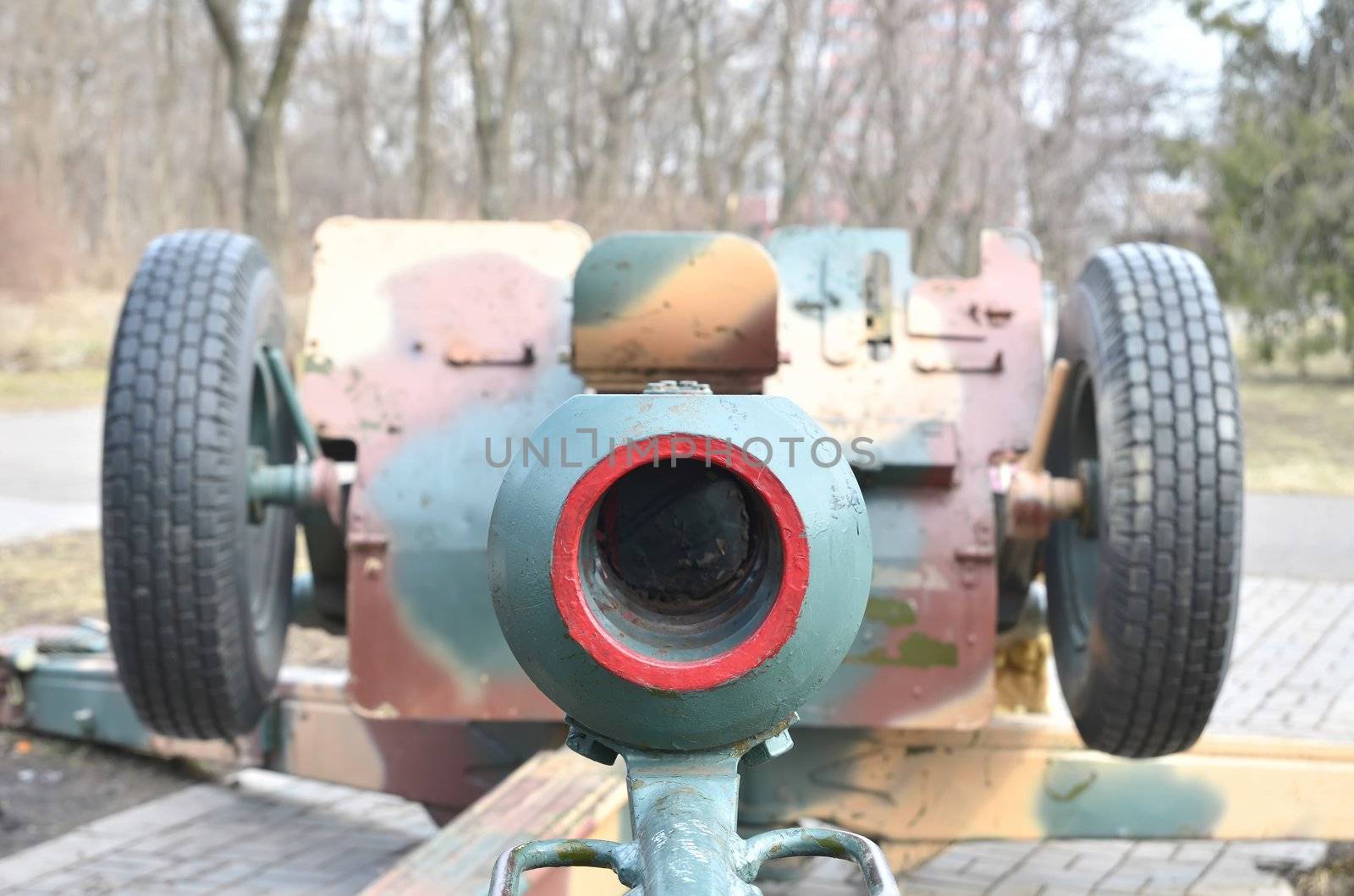 cannon. soft focus on center