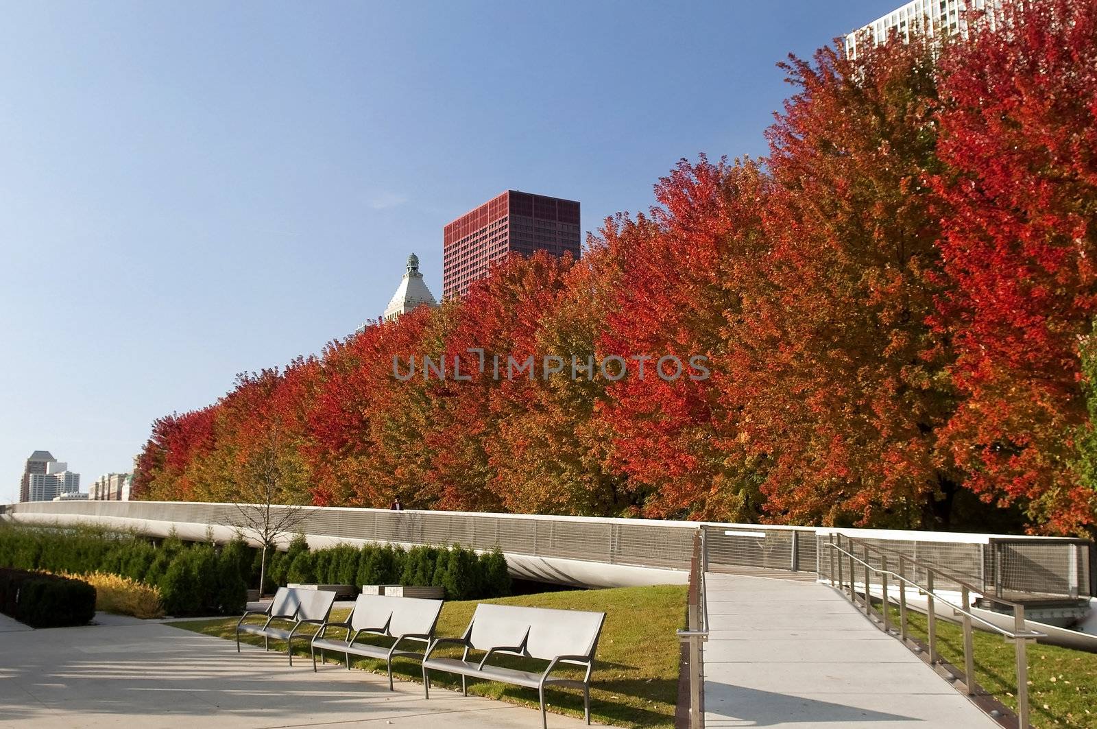 Autumn in Chicago by irisphoto4