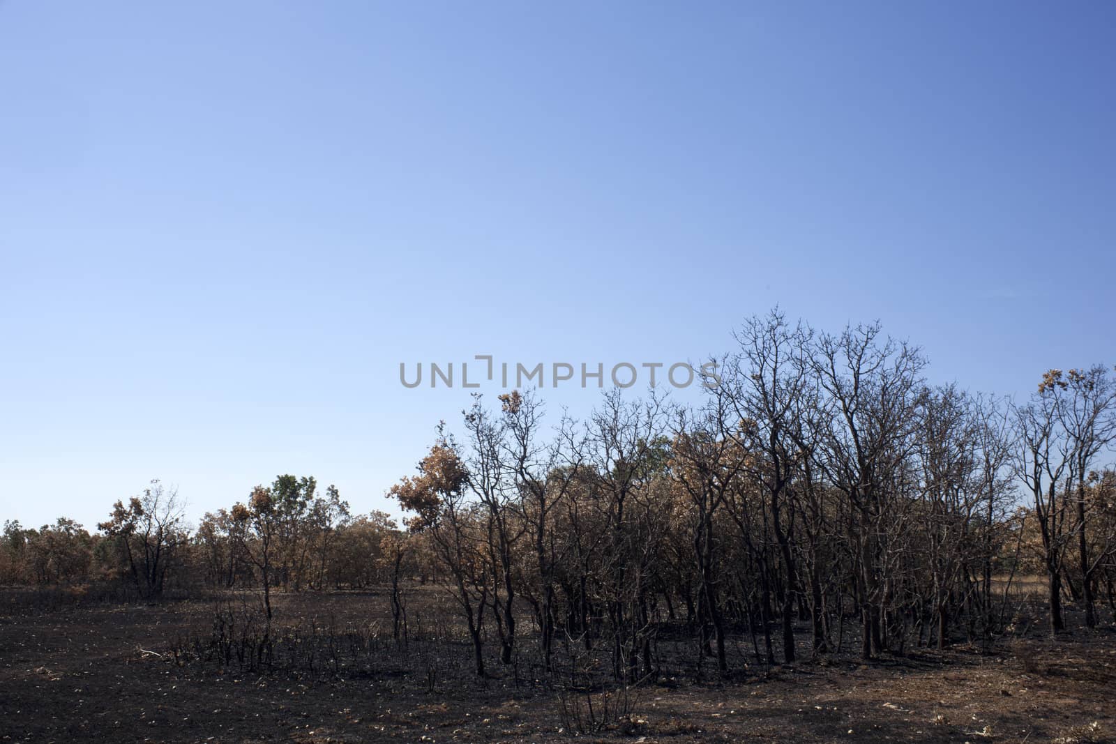 The dry grass in the field burned