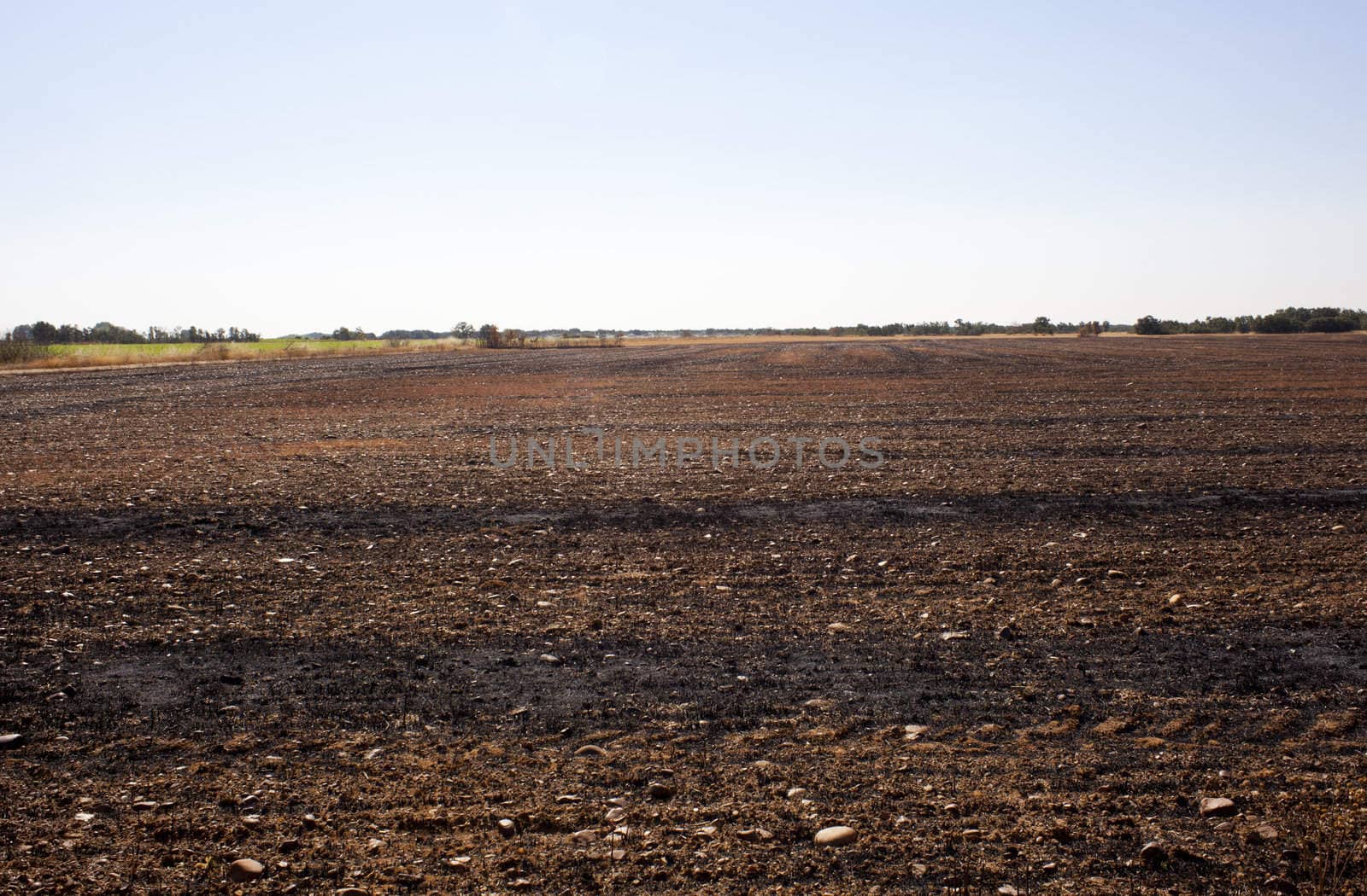 The dry grass in the field burned