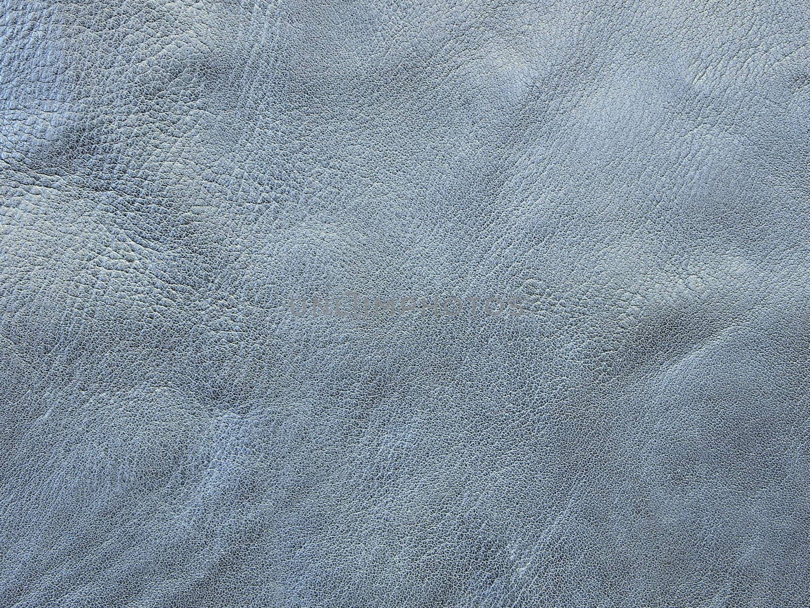 skin texture blue