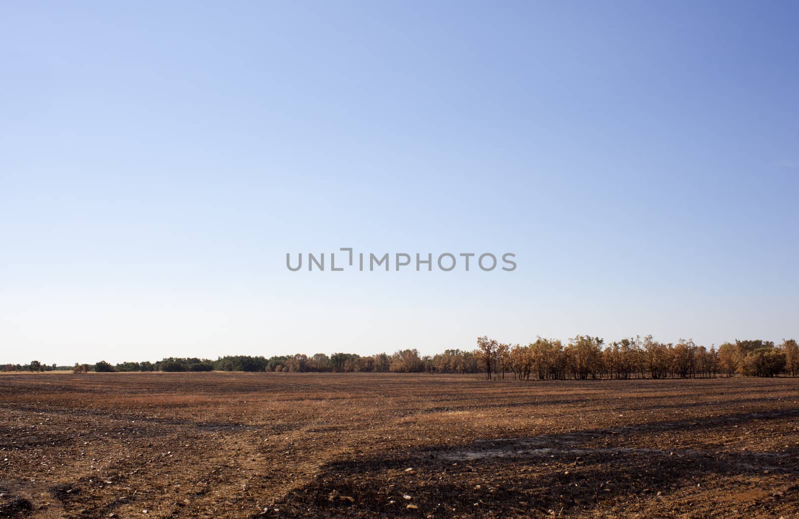 The dry grass in the field burned