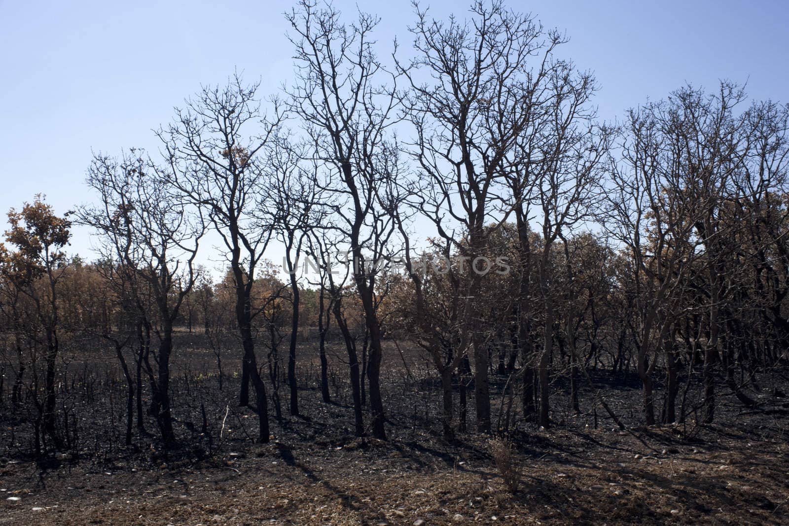 The dry grass in the field burned