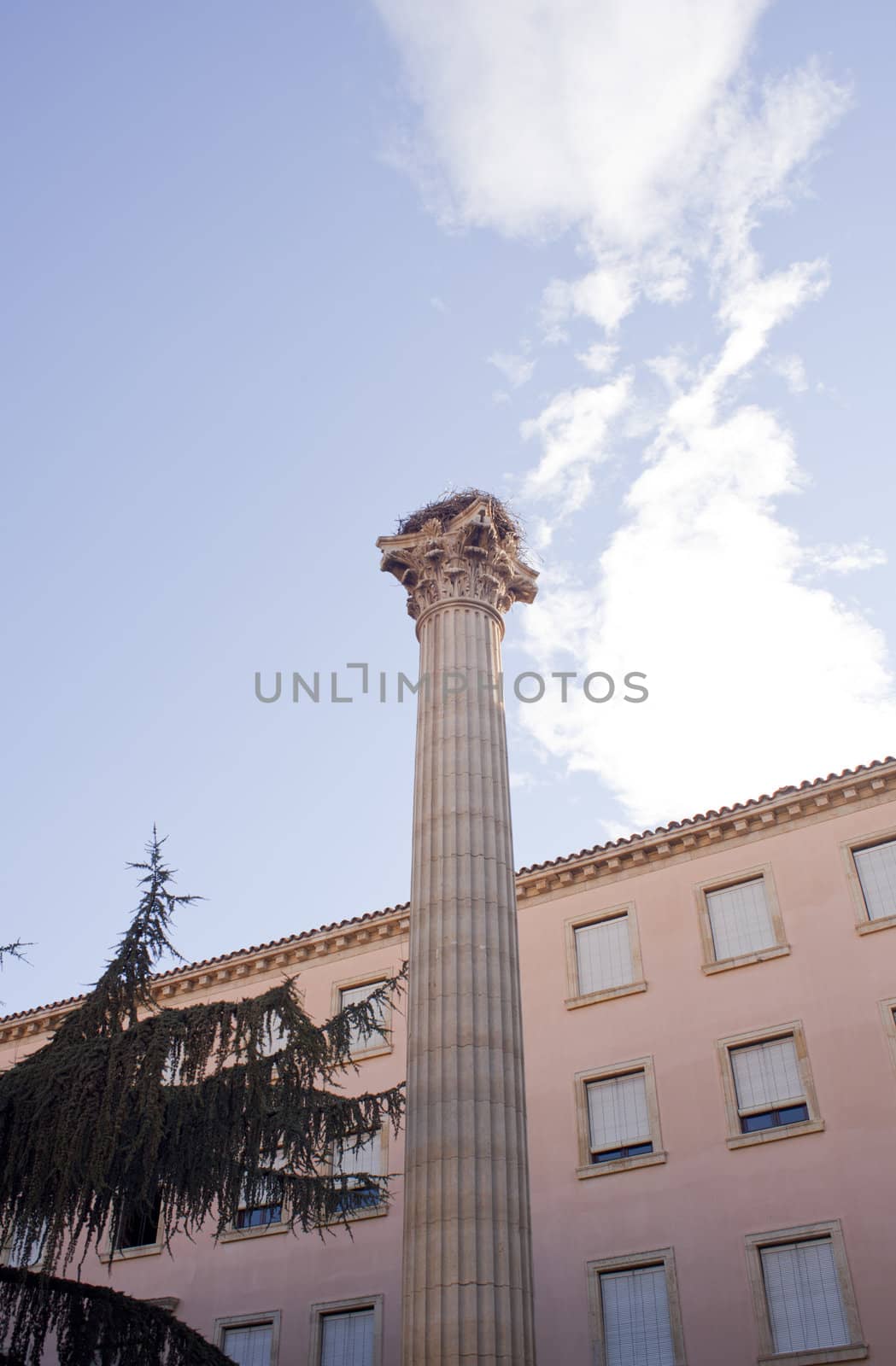 A stork nest on the Column of the Memorial for the VII Legion, Leon - Spain