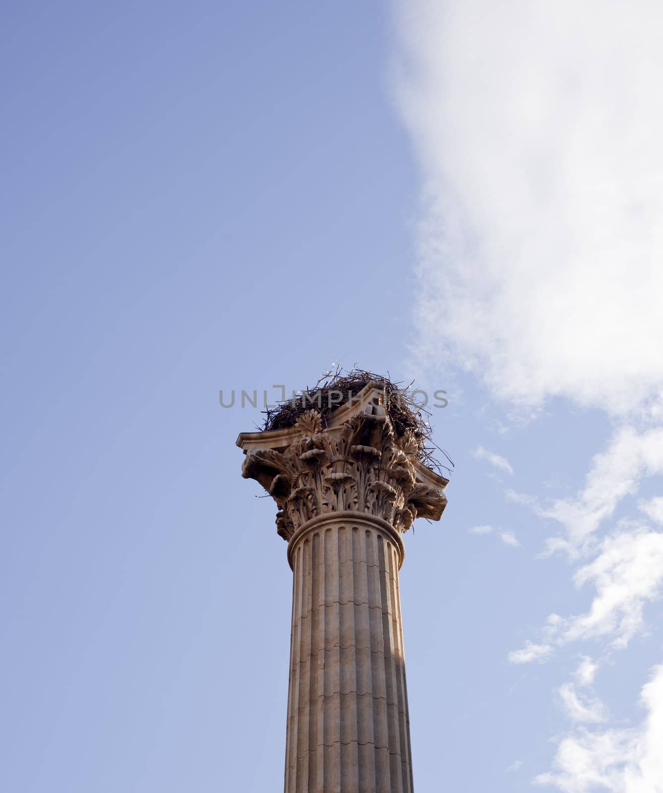 A stork nest on the Column of the Memorial for the VII Legion, Leon - Spain
