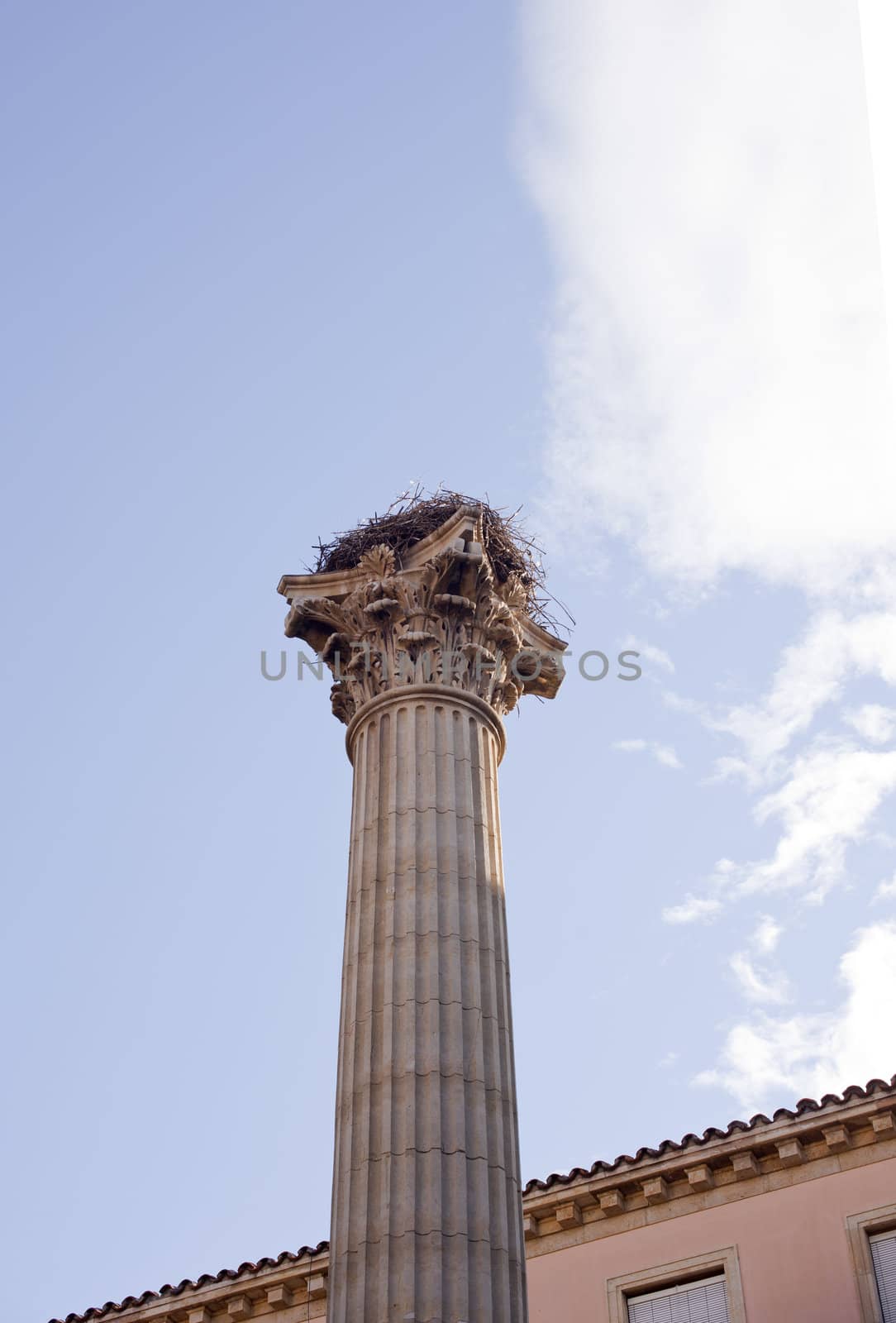 A stork nest on the Column of the Memorial for the VII Legion, Leon - Spain