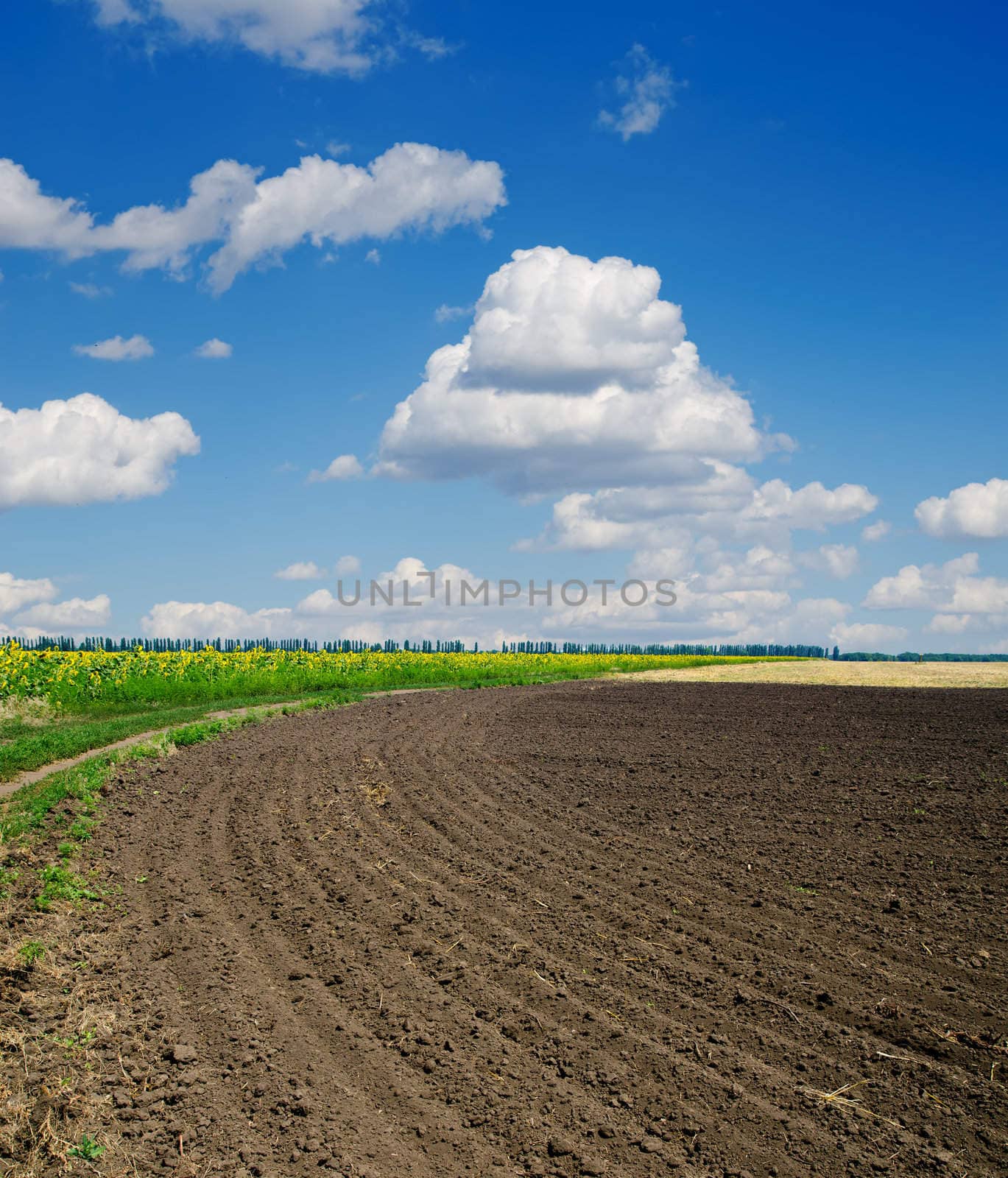 ploughed field