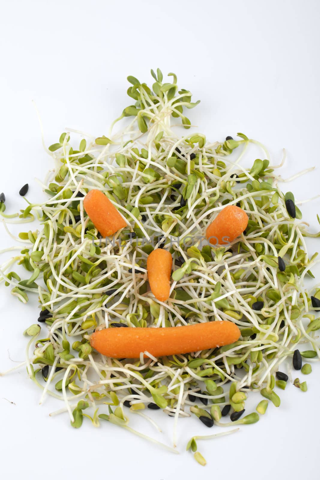Fresh alfalfa sprouts and carrot isolated on white background