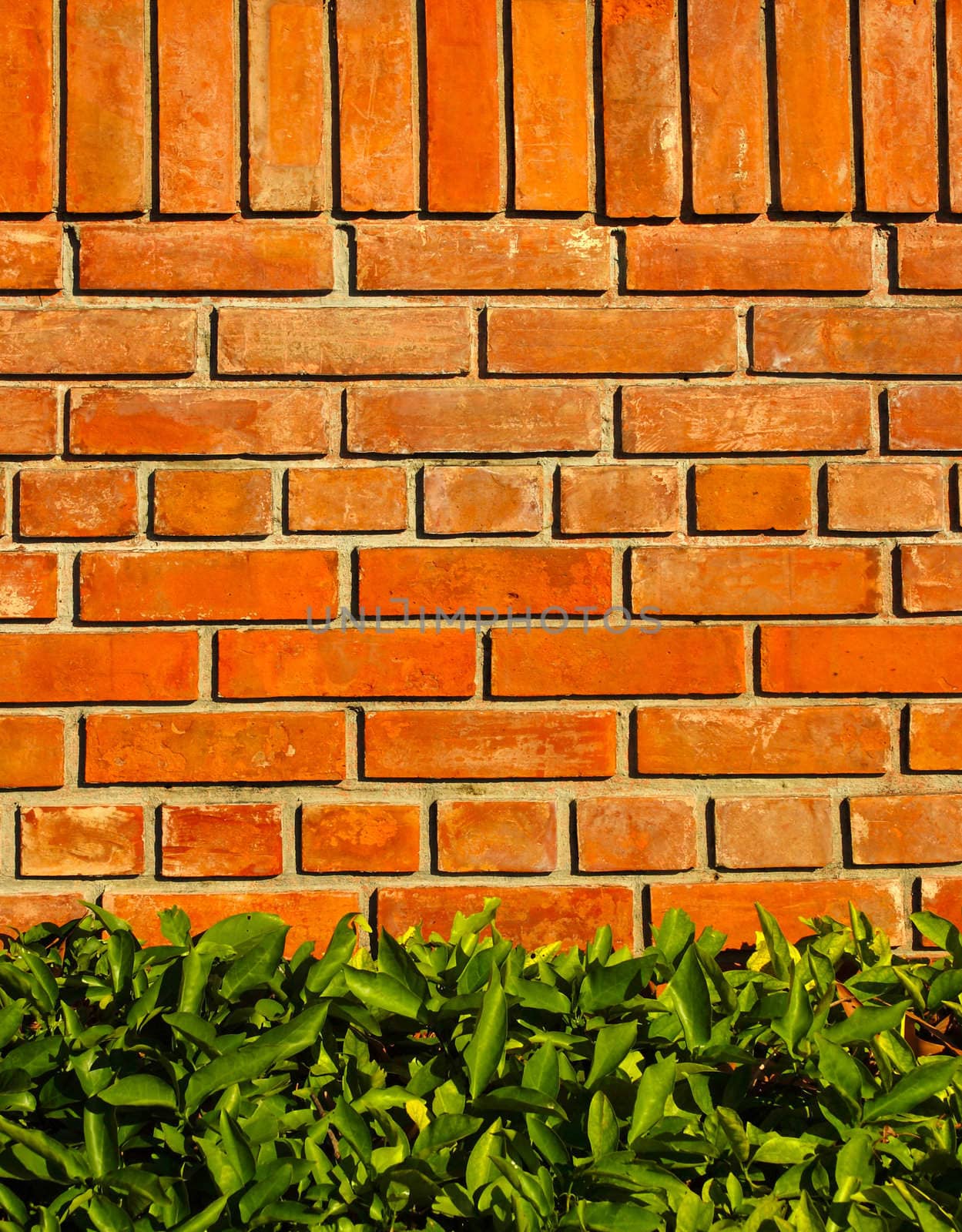 Brick wall background with green leaf