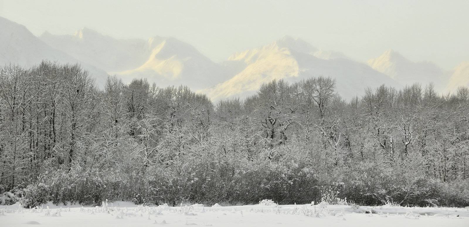 Mountains  in snow on  sunset by SURZ