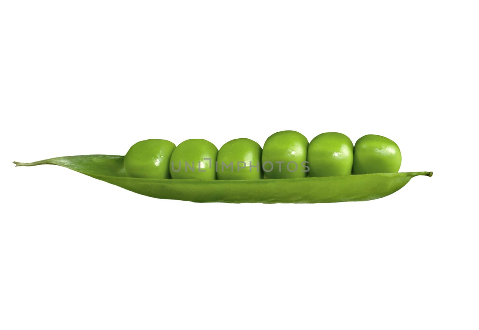 fresh green peas isolated on a white background