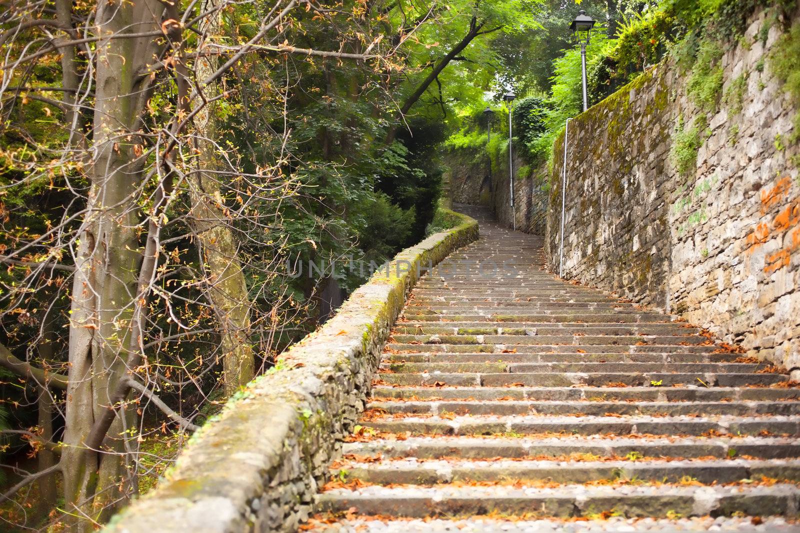 Old Staircase in the grove, Bergamo alta - Italy