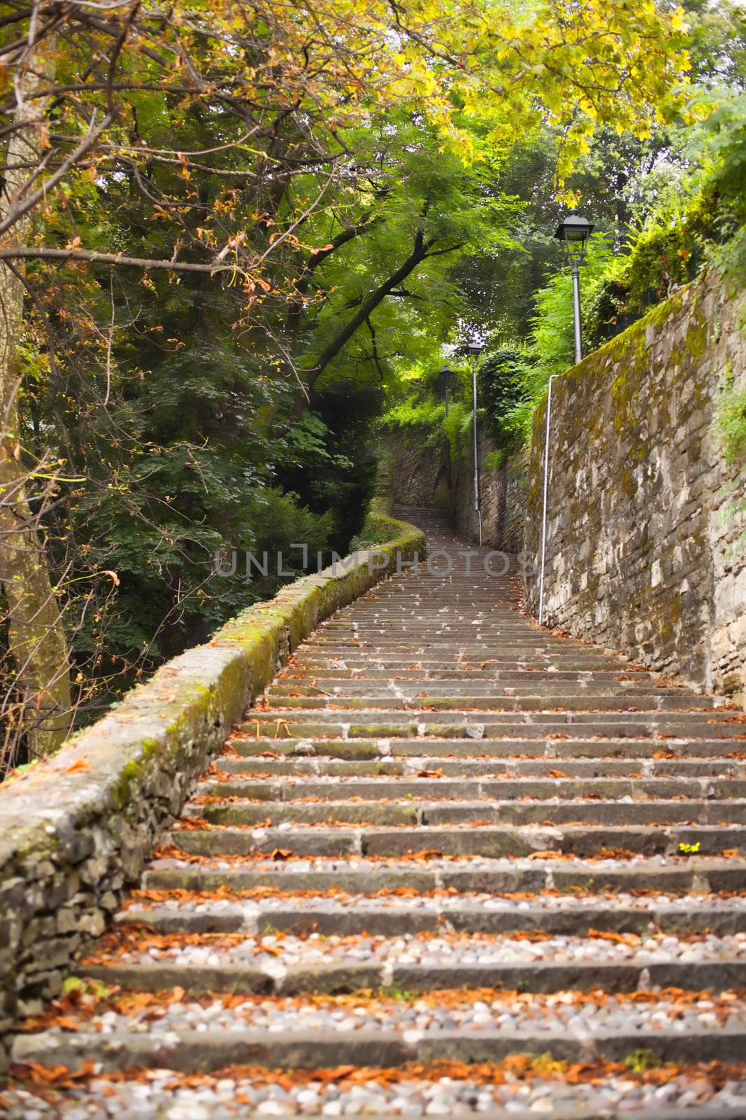 Old Staircase in the grove, Bergamo alta - Italy